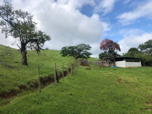 Sítio com 8 Alqueires em São Luís do Paraitinga\São Paulo - SAO LUIS DO PARAITINGA - 