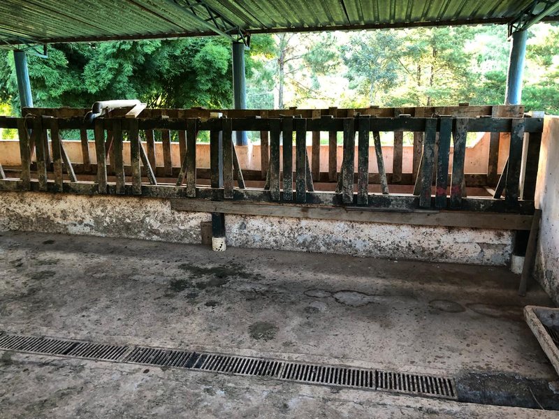 Sítio com 8 Alqueires em São Luís do Paraitinga\São Paulo - SAO LUIS DO PARAITINGA - 