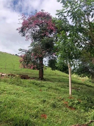 Sítio com 8 Alqueires em São Luís do Paraitinga\São Paulo - SAO LUIS DO PARAITINGA - 