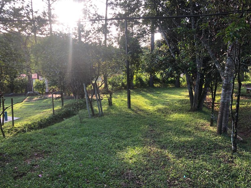 Sítio com 8 Alqueires em São Luís do Paraitinga\São Paulo - SAO LUIS DO PARAITINGA - 