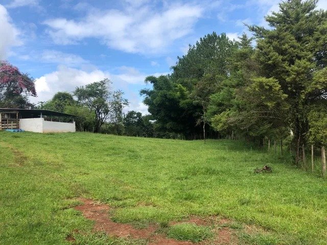 Sítio com 8 Alqueires em São Luís do Paraitinga\São Paulo - SAO LUIS DO PARAITINGA - 