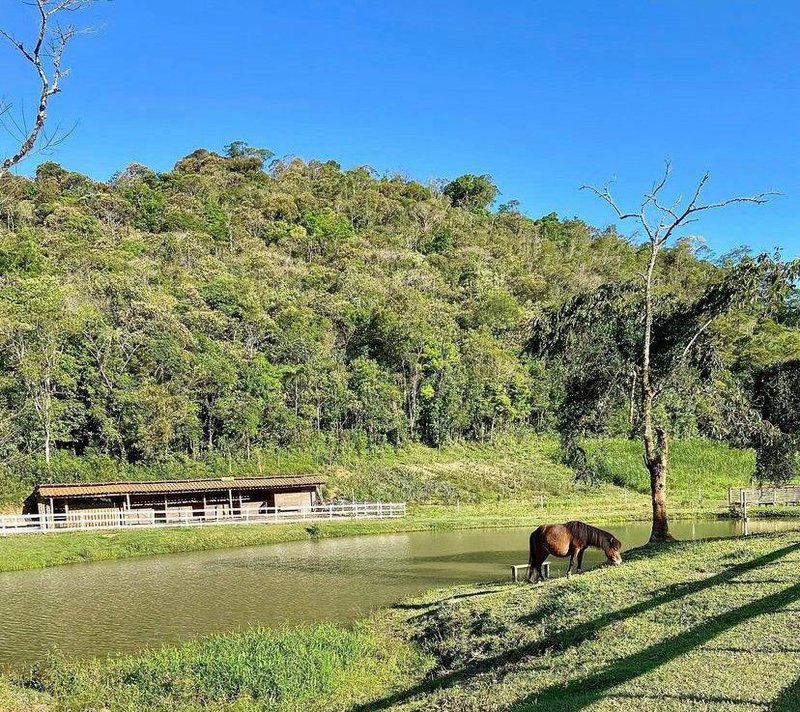 Sítio com 5 Hectares em Natividade da Serra\São Paulo - NATIVIDADE DA SERRA - 