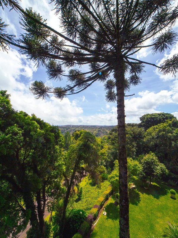 Apartamento com 2 dormitorios em Canela, Sera Gaucha dos Tucanos Canela - 