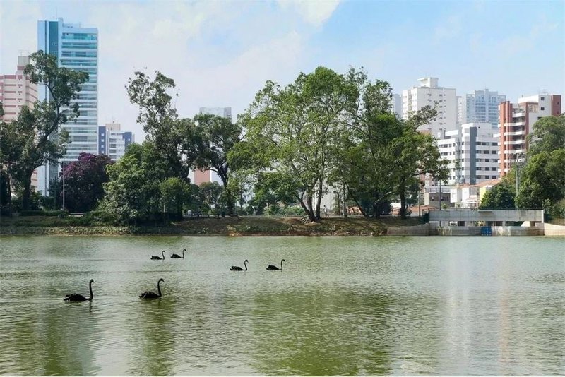 Apartamento a venda - Aclimação -  3 suítes 162m² Rodrigo Cláudio São Paulo - 