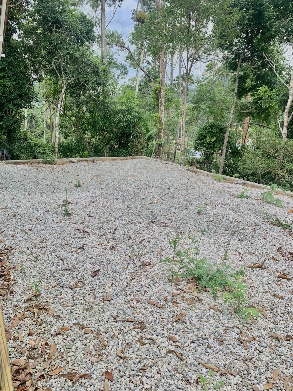 CASA COM 1 SUÍTE MAIS DOIS DORMITÓRIOS EM DOM JOAQUIM - Brusque - 
