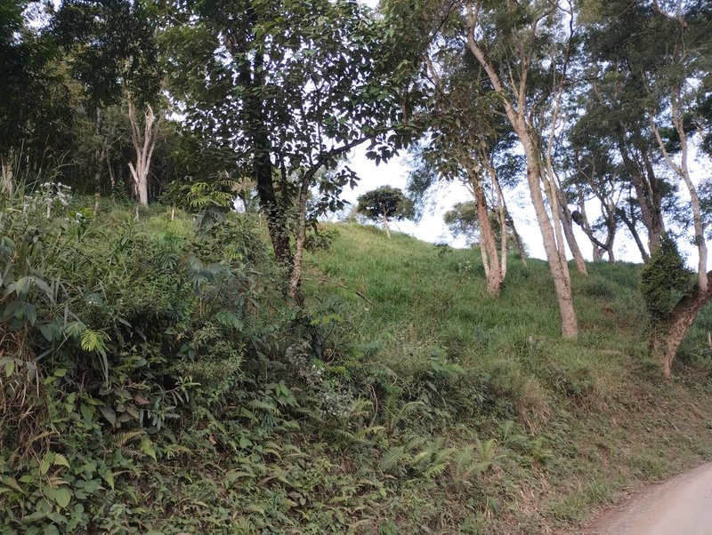 Terreno no Bairro - ótima oportunidade - Igaratá - 