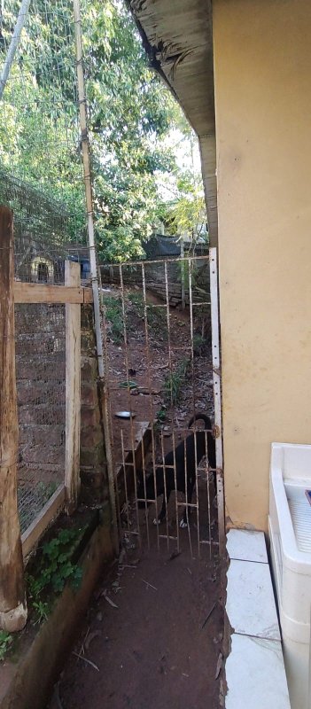 Casa de Alvenaria / Bairro Feitoria / Independência Rua Abrahão Borges Flores São Leopoldo - 