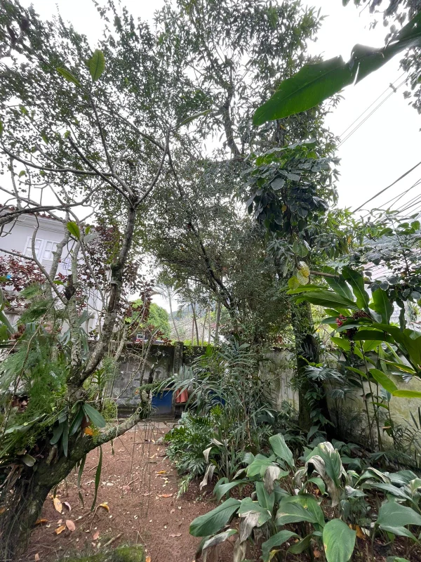 Casa clássica no Alto Jardim Botânico - Rio de Janeiro - 
