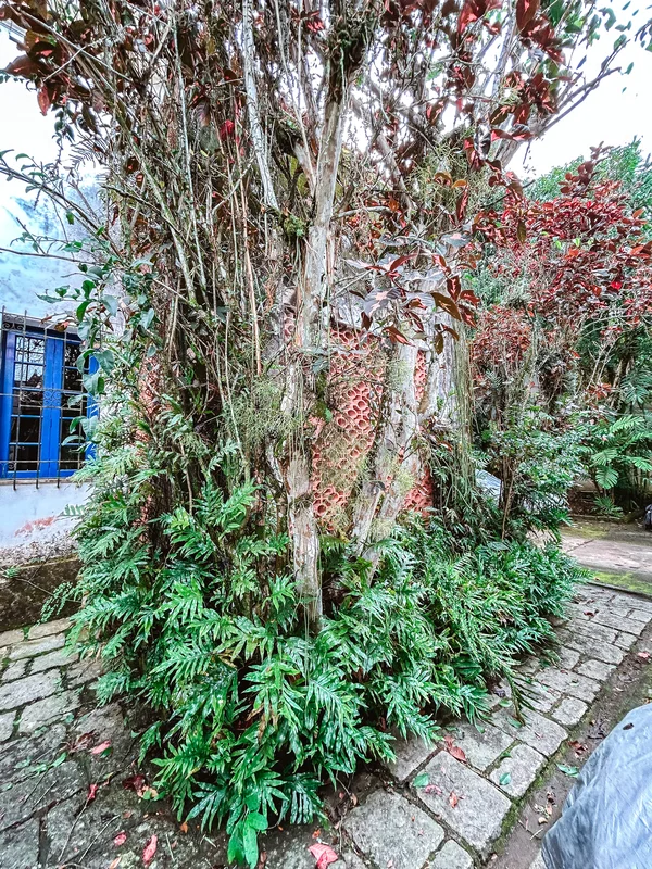 Casa clássica no Alto Jardim Botânico - Rio de Janeiro - 