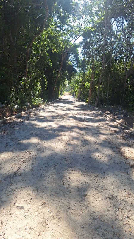 Condomínio Mata da Praia - Terreno Est Trancoso Porto Seguro - 
