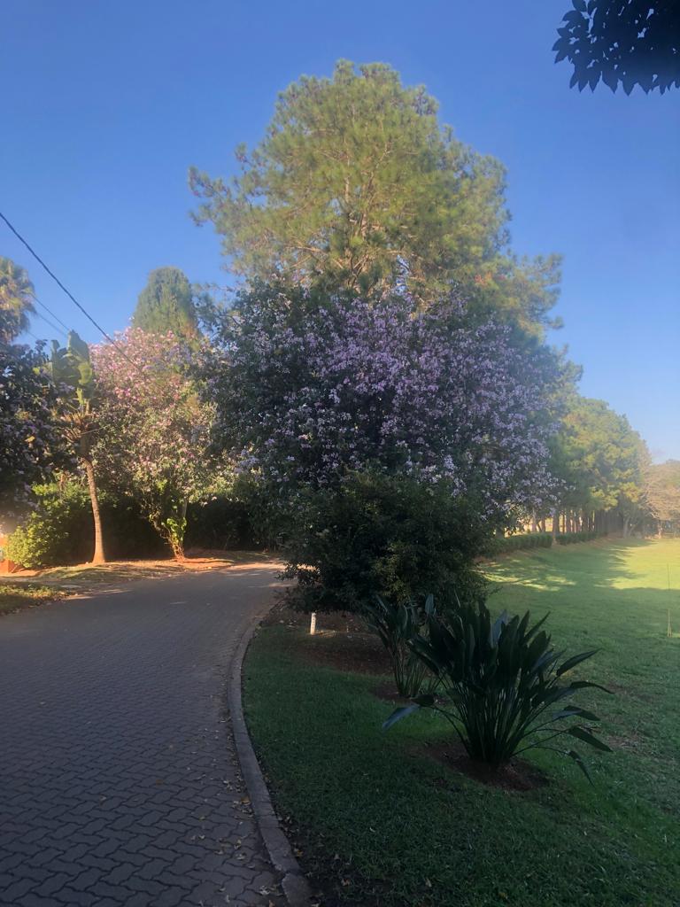 Terreno &agrave; venda, 1000m&sup2;- Condom&iacute;nio Vivendas do Lago - Sorocaba - SP Alameda dos Mallards Sorocaba - 