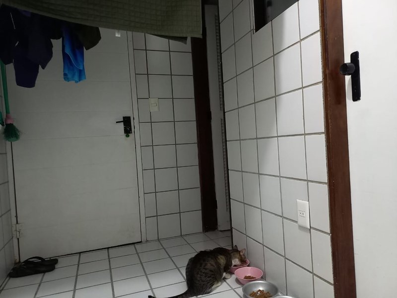 Apartamento à venda com 3 quartos sendo 1 suite, 200m² por R$ 970.000,00 Rua Cônego Romeu Recife - 