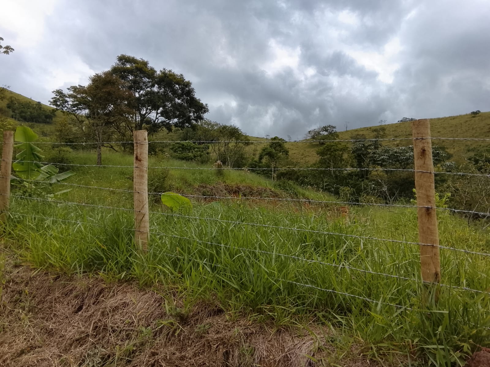 Oportunidade! Ch&aacute;cara com 2.500m&sup2; em S&atilde;o Jos&eacute; dos Campos - SP rua sao benedito São José dos Campos - 