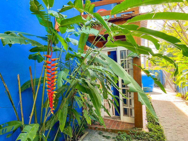Casa Grandiosa Pé na Areia na Praia de Juquehy com Amplo Jardim - LOCAÇÃO MENSAL - São Sebastião - 