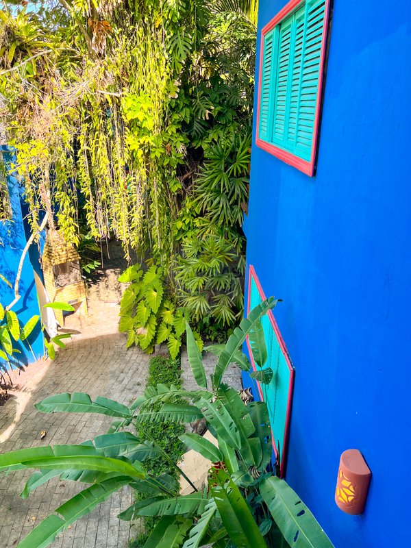 Casa Grandiosa Pé na Areia na Praia de Juquehy com Amplo Jardim - LOCAÇÃO MENSAL - São Sebastião - 