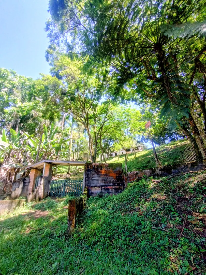 Terreno pr&oacute;ximo &agrave; rodovia D Pedro I &agrave; venda no Bairro das Palmeiras  Igaratá - 