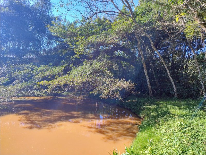 ✔️ Linda área de terras em Presidente Lucena - Presidente Lucena - 