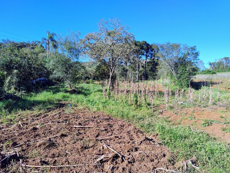 ✔️ Linda área de terras em Presidente Lucena - Presidente Lucena - 