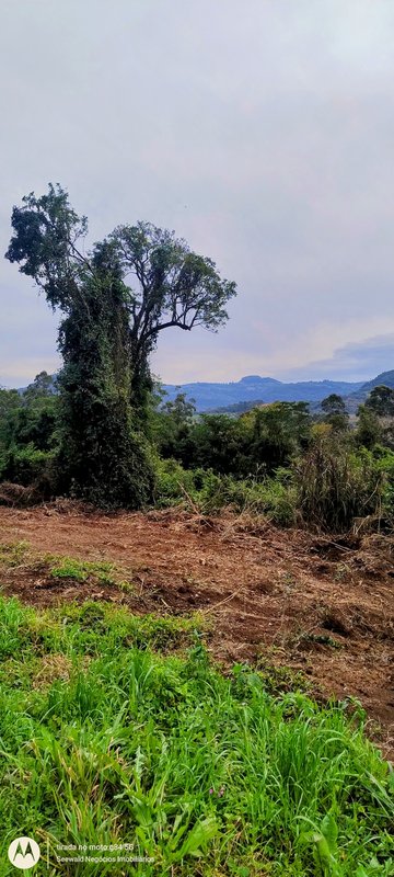 ✔️ &Aacute;rea de terras em Presidente Lucena  Presidente Lucena - 