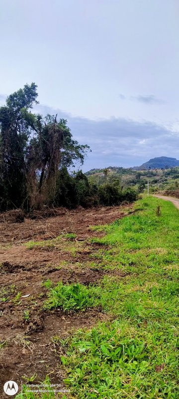 ✔️ &Aacute;rea de terras em Presidente Lucena  Presidente Lucena - 