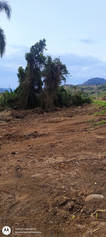 ✔️ &Aacute;rea de terras em Presidente Lucena  Presidente Lucena - 