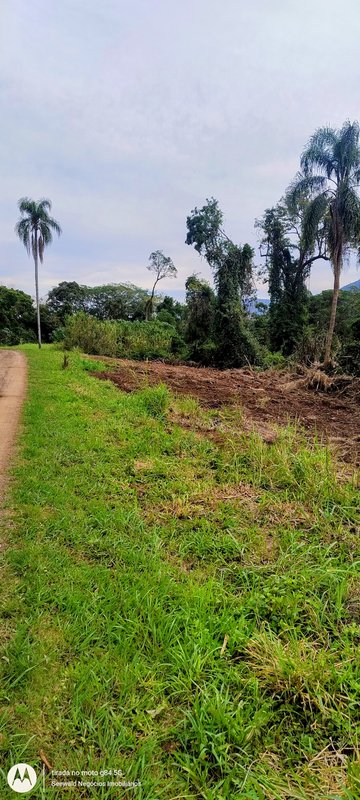 ✔️ &Aacute;rea de terras em Presidente Lucena  Presidente Lucena - 