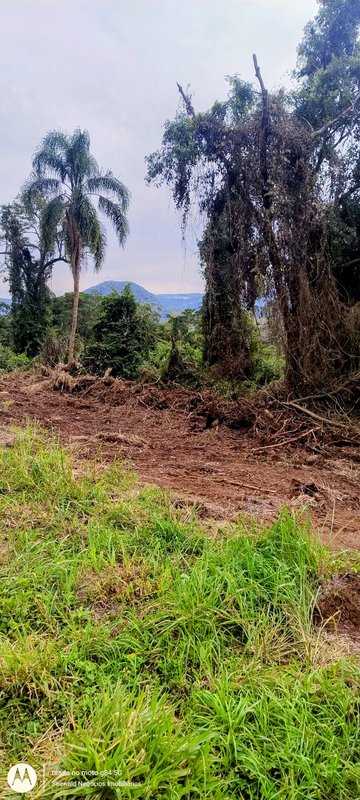 ✔️ &Aacute;rea de terras em Presidente Lucena  Presidente Lucena - 