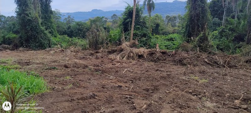 ✔️ &Aacute;rea de terras em Presidente Lucena  Presidente Lucena - 