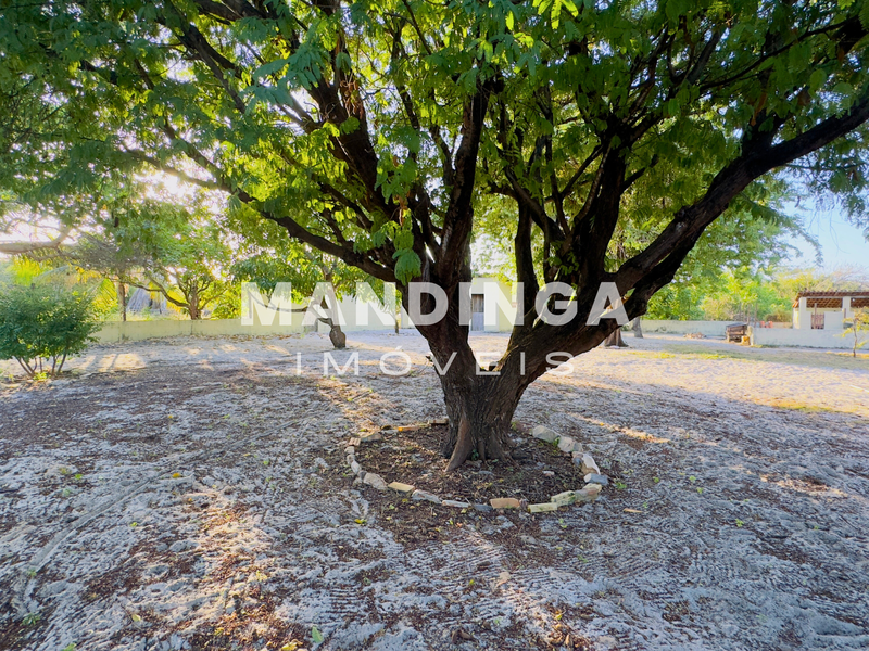 Sítio localizado entre as Praias de Canoa Quebrada e Majorlância 62800-000 Aracati - 