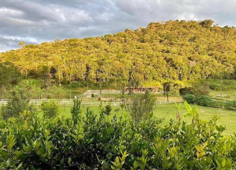 SITIO COM 5 HECTARES  EM NATIVIDADE DA SERRA SP - NATIVIDADE DA SERRA - 