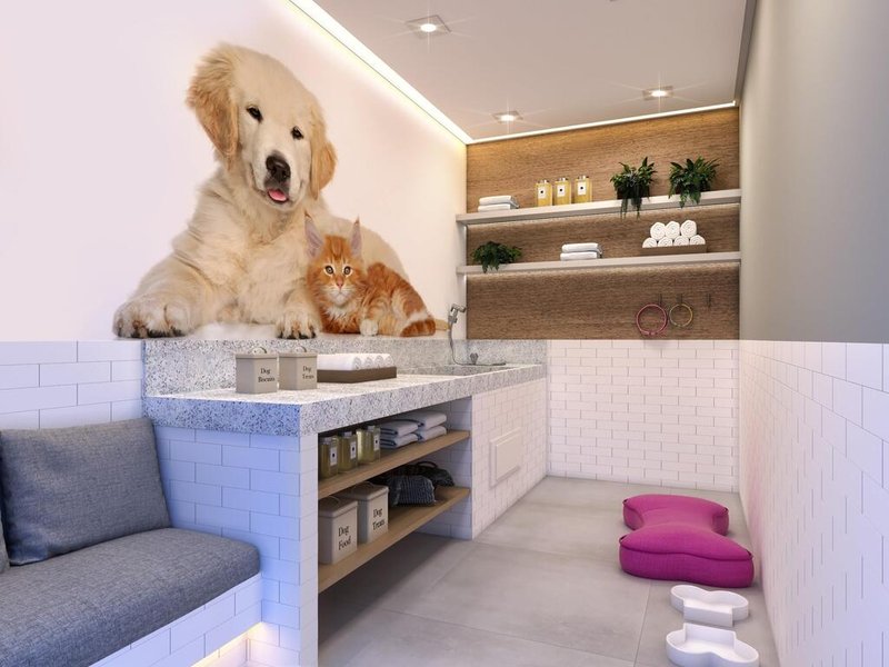 Apartamento Portal Barra Funda Vila Rio Branco 2 dormitórios 33m² Rudge São Paulo - Pet care
