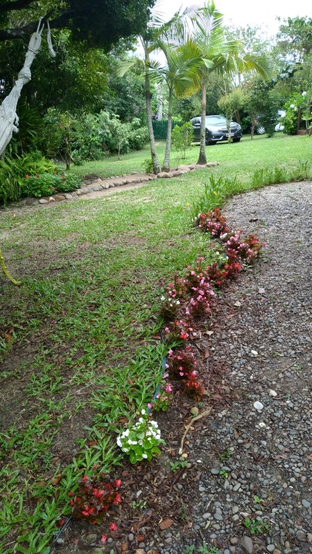 R$ 2.120.000 - EXCELENTE POUSADA - 2.540M2 - TRANQUILIDADE - LAZER E NATUREZA Avenida Central do Rosa Imbituba - 