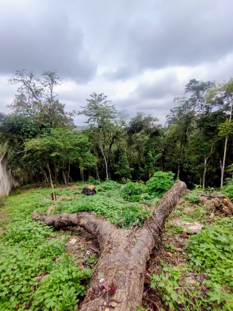 Terreno p&eacute; na &aacute;gua a 1,5 km da Rodovia D. Pedro I  Igaratá - 