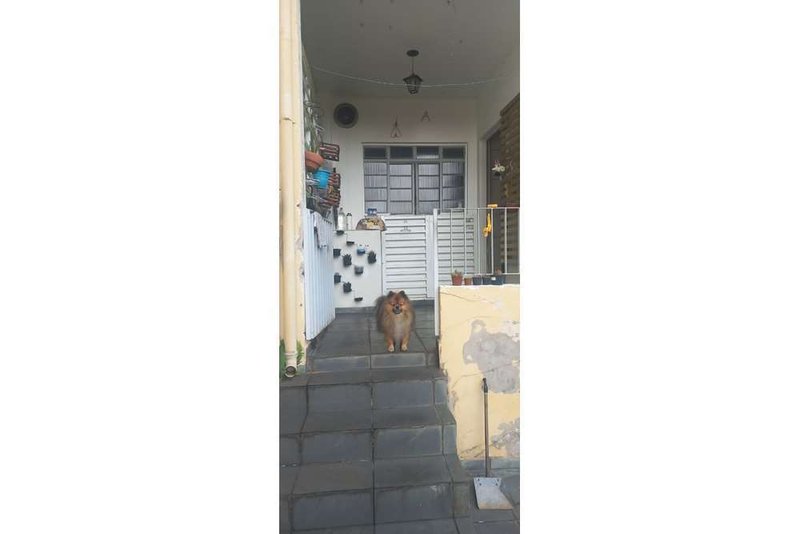 Terreno/Lote Residencial a venda - Vila Formosa - 316m² Pretória São Paulo - 