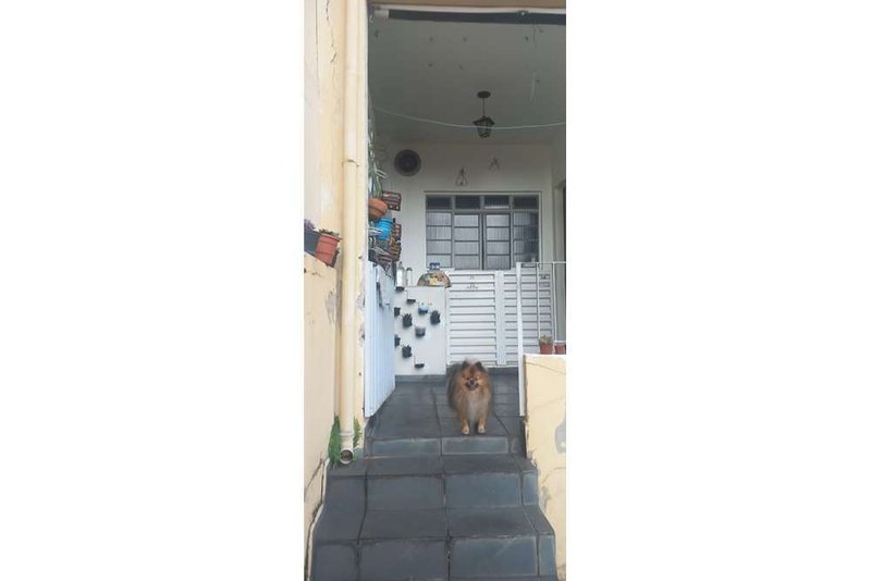 Terreno/Lote Residencial a venda - Vila Formosa - 316m² Pretória São Paulo - 