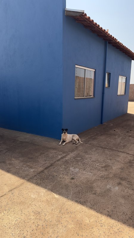 Casa Jardim Maria Alice Patrícia Rejane Pereira  Uberaba - 