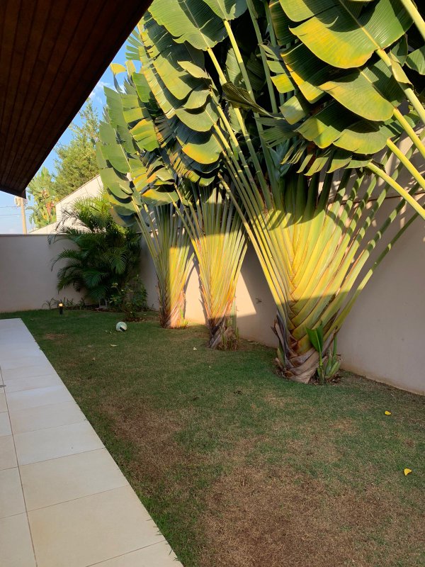 Linda Casa Térrea no Residencial Parque dos Alecrins! walter foster  Campinas - 