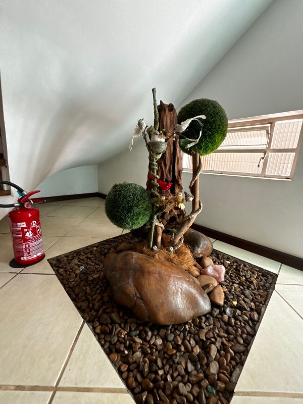 Casa Vila Mariana com Incrível Área Verde Rua Doutor Mário Cardim São Paulo - 