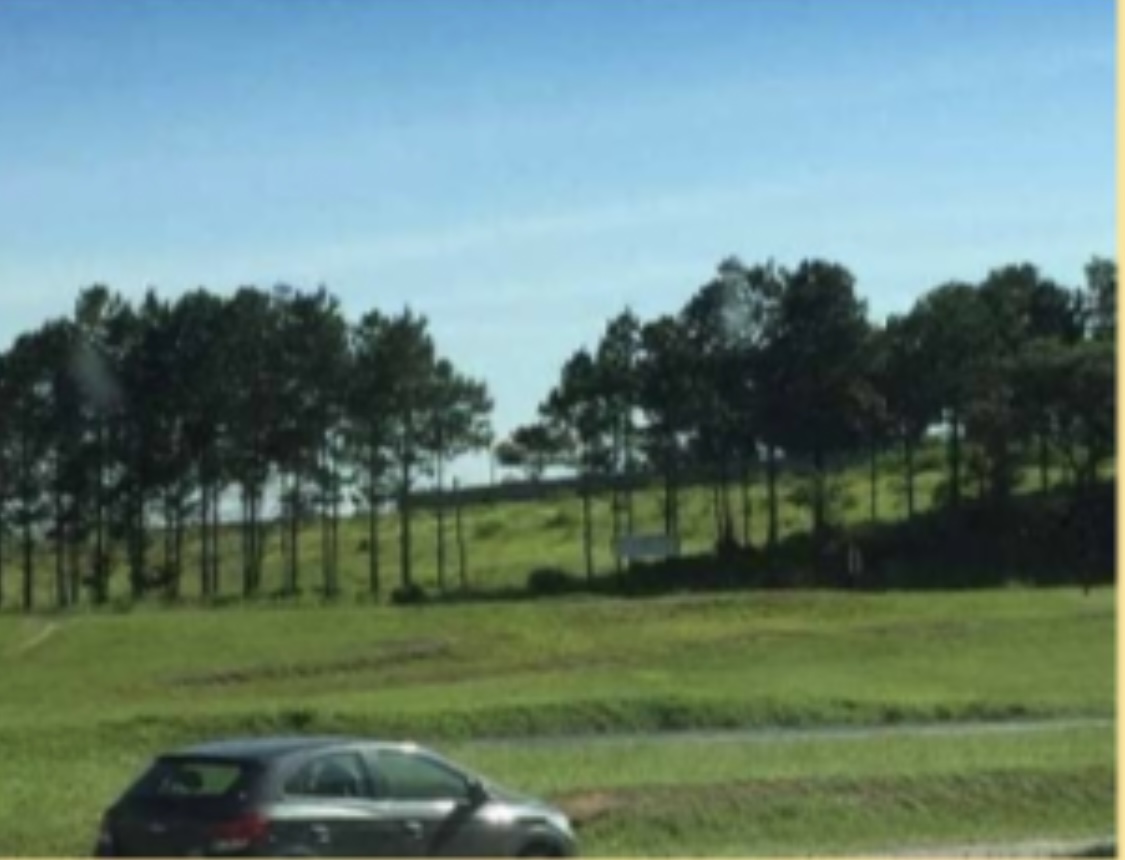 &Aacute;rea &agrave; venda ,10900 m&sup2; - Rodovia Castelo Branco - Sorocaba - SP Rodovia Presidente Castelo Branco Sorocaba - 