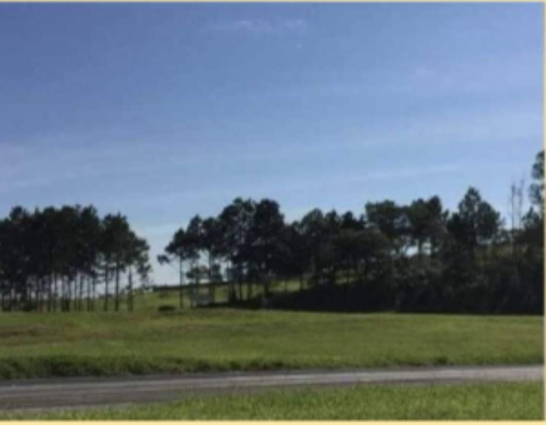 &Aacute;rea &agrave; venda ,10900 m&sup2; - Rodovia Castelo Branco - Sorocaba - SP Rodovia Presidente Castelo Branco Sorocaba - 