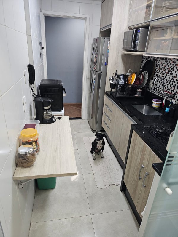 Apartamento à venda com 74m², 3 quartos e 2 vagas Rua Abagiba São Paulo - 