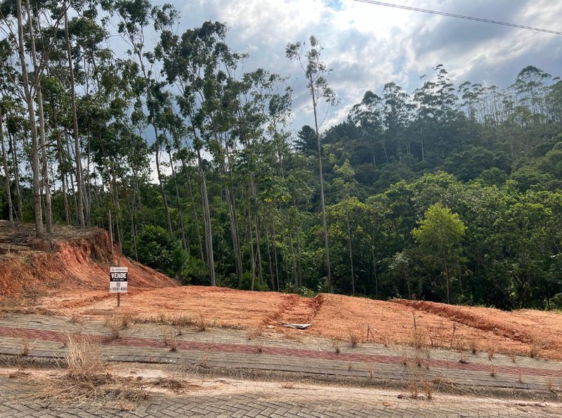 TERRENO EM LOTEAMENTO NA GUABIRUBA - Guabiruba - 