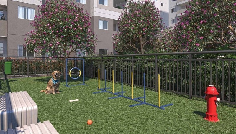 Apartamento Novvo Marajoara - Fase 1 - Breve Lançamento 1 suíte 25m² Engenheiro Alberto de Zagottis São Paulo - Pet place