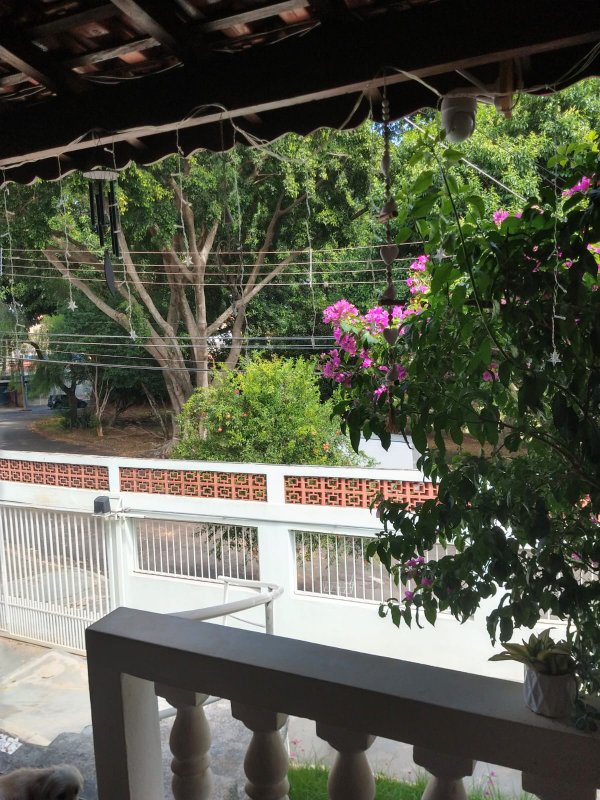 Casa Charmosa em Localização Privilegiada! - Campinas - 