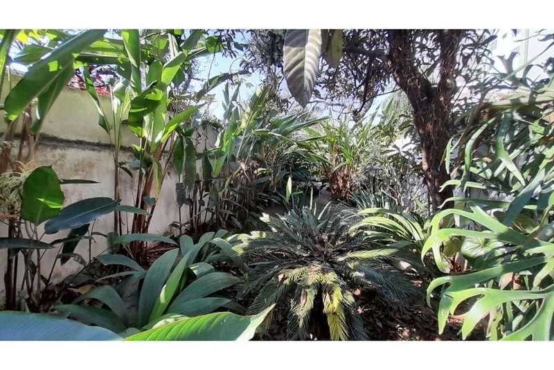Casa a venda - Planalto Paulista - 1 suíte 140m² Piassanguaba São Paulo - 