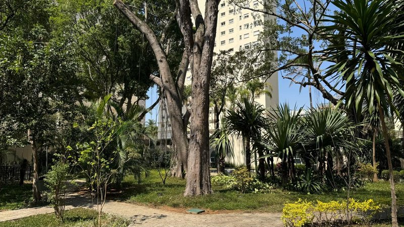 Apartamento com 168m² - 3 suítes, 3 vagas, varanda gourmet - Vila Romana Rua Camilo São Paulo - 