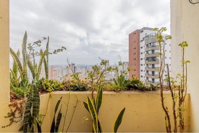 Apartamento a venda - Lila Suzana -  1 suíte 130m² José Galante São Paulo - 