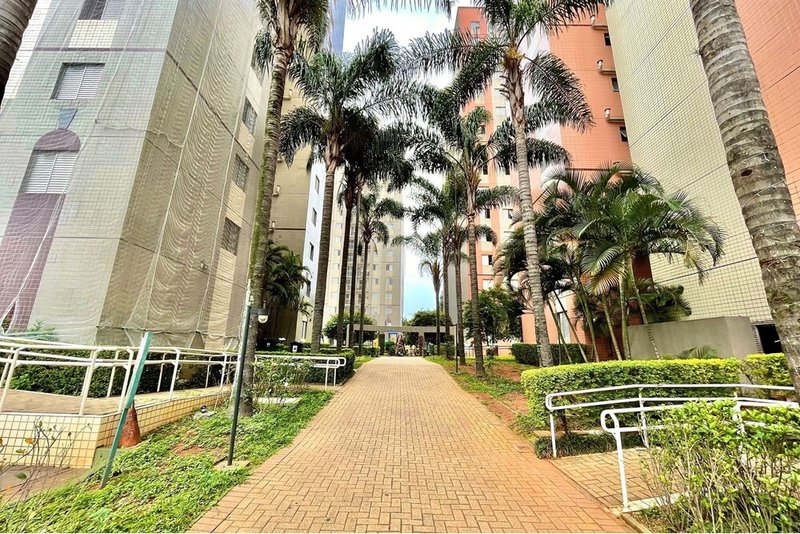Apartamento a venda - Cambuci -  3 dormitórios 61m² Alexandre Levi São Paulo - 
