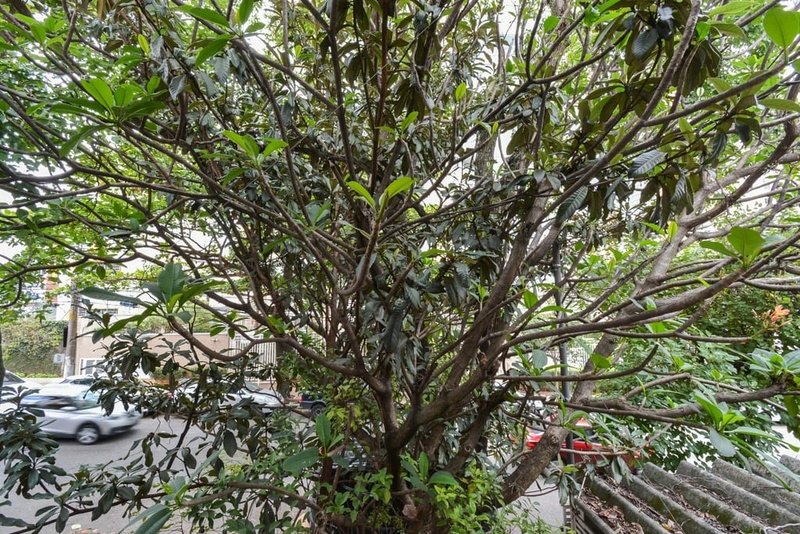 Casa em Condomínio a venda - Perdizes -  1 suíte 96m² Coronel Melo de Oliveira São Paulo - 