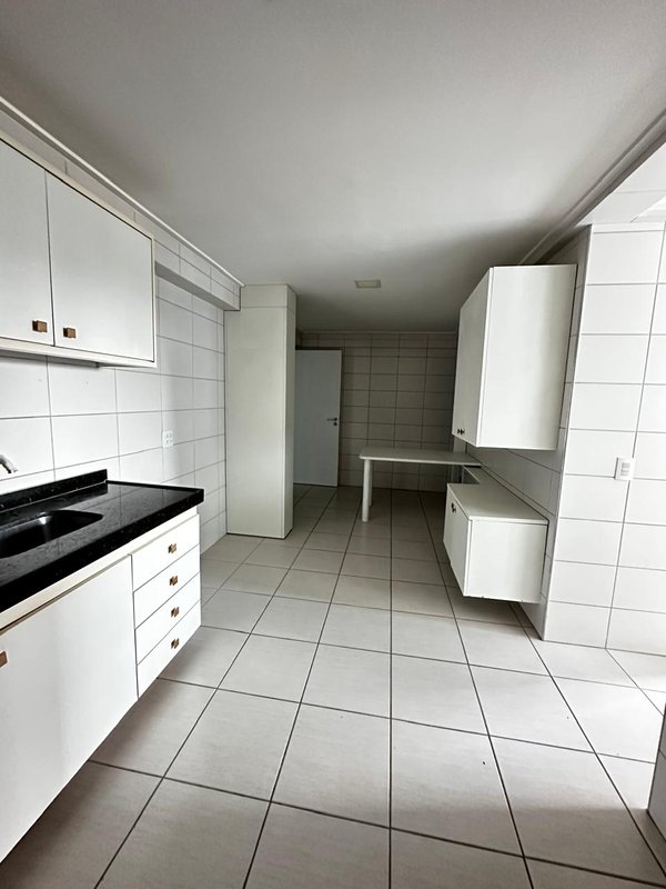 Alugo apartamento com 4 quartos sendo 2 suites, 177m² área útil por R$ 12.500,00 + taxas Rua Jornalista Adeth Leite Recife - 